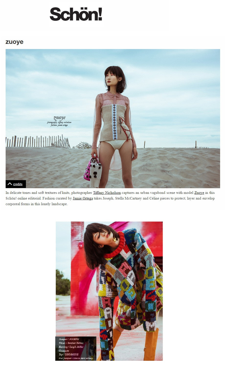 Schonmagazine.com