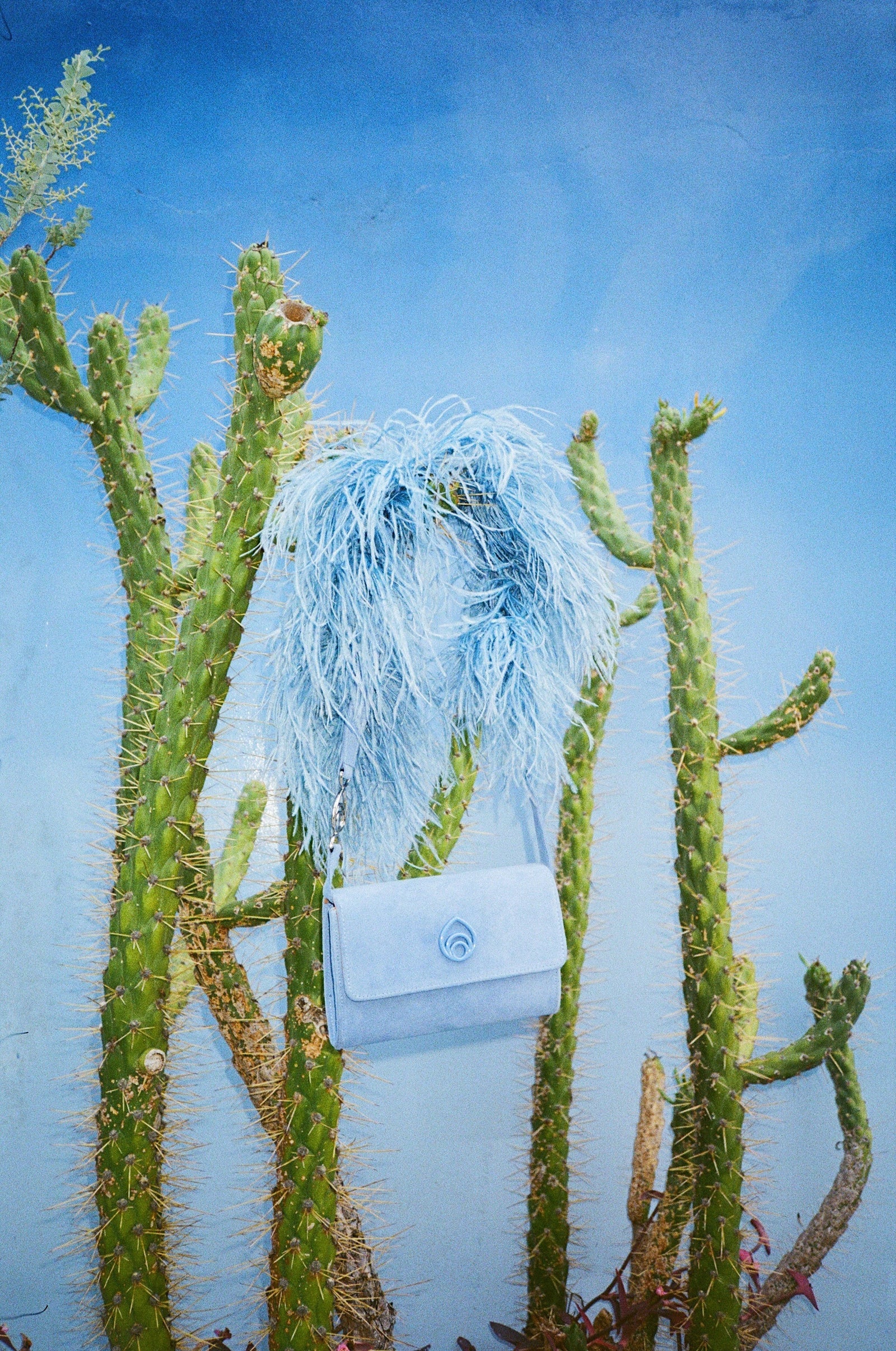 Lijadu Bird Bag in Sky Blue Suede – Brother Vellies