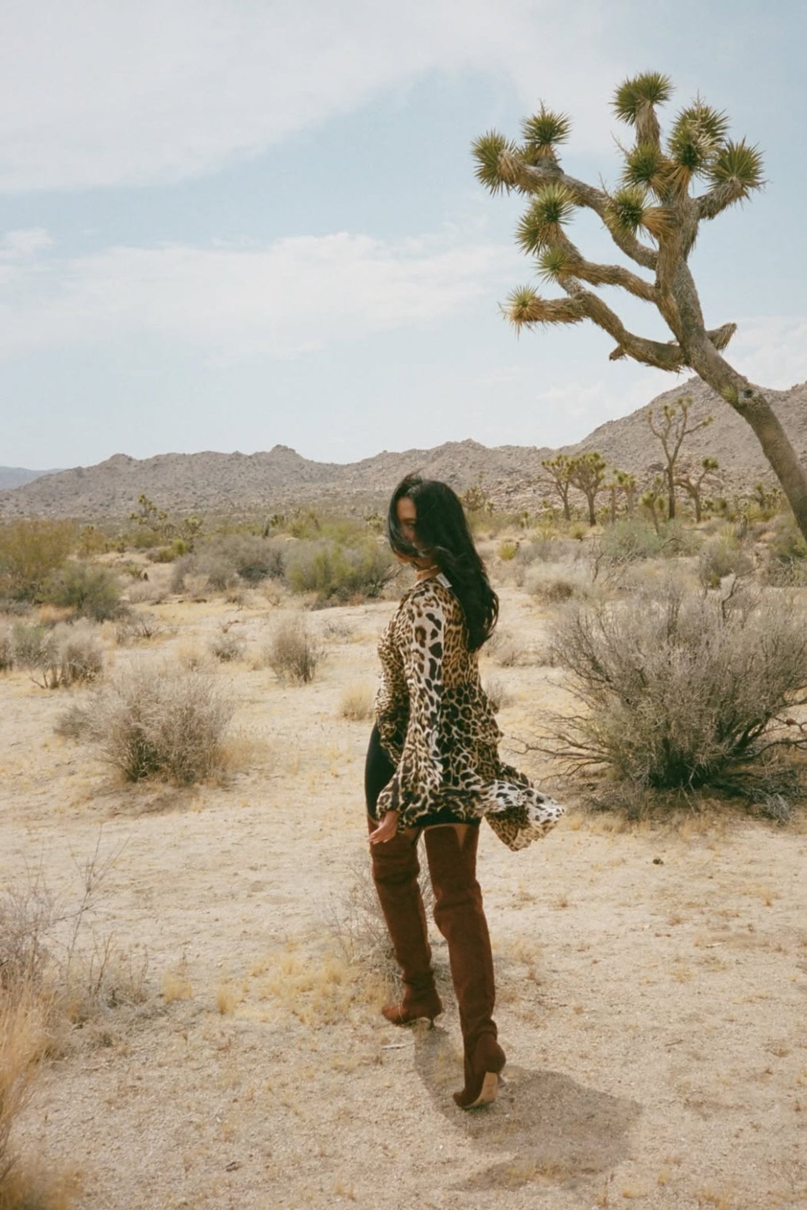 IMG_6083_1600x.jpg?v=1736869316