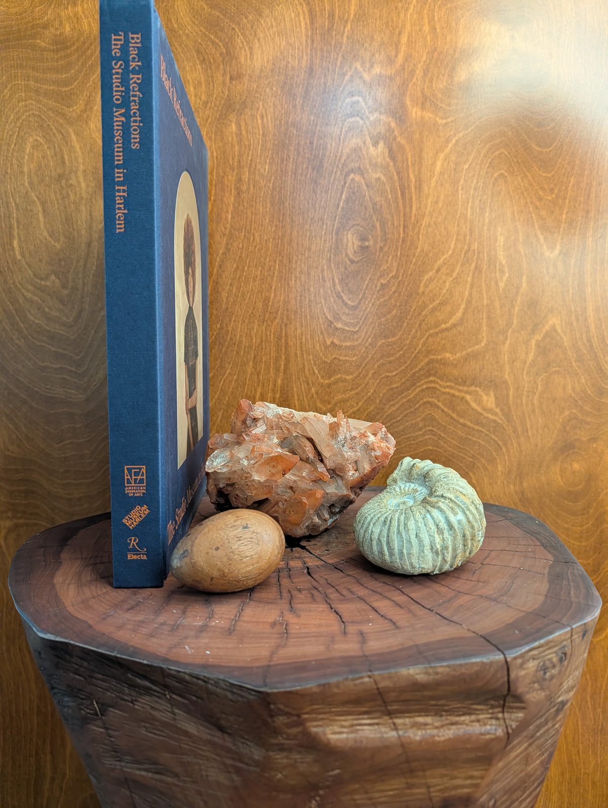 A blue hardcover book titled 'The Skull Museum in Hudson' stands upright on a rustic wooden stump, styled with a rock, a smooth stone, and a small green decorative object against a wood-grain background.