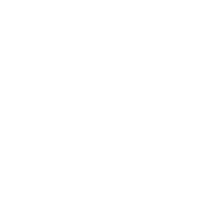 logo graphic of a white peacock silhouette with the text BROTHER VELLIES beneath