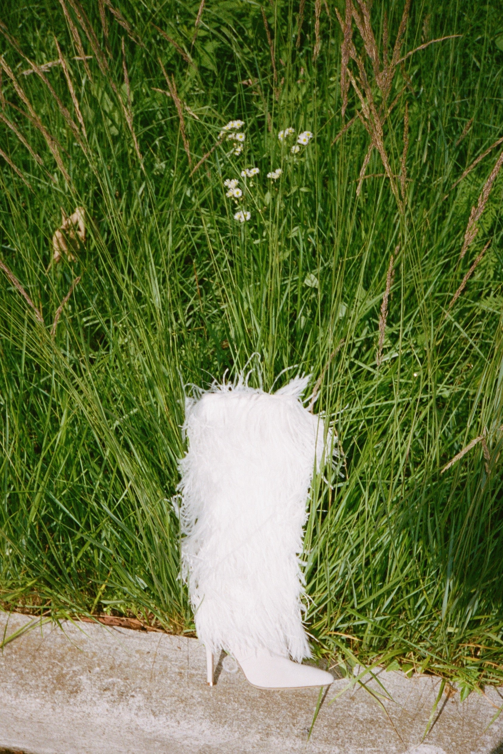 Palms Boot in Ivory Bird